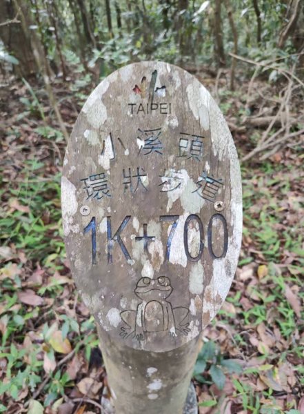 1140404大崙頭山親山步道3100029