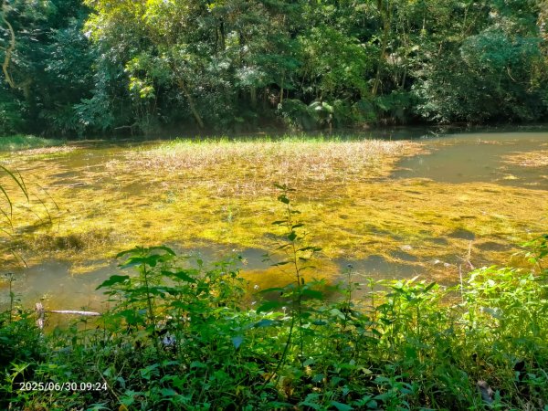 白石湖+打鐵寮古道2824157