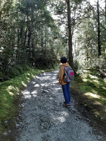 山毛櫸、翠峰湖。明年見1173698