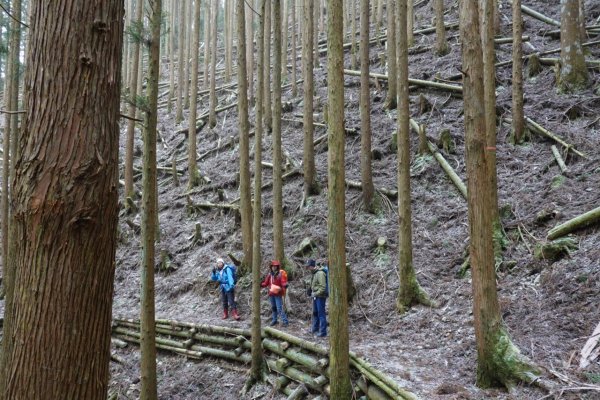 熊野古道小邊路.熊野三山2485439