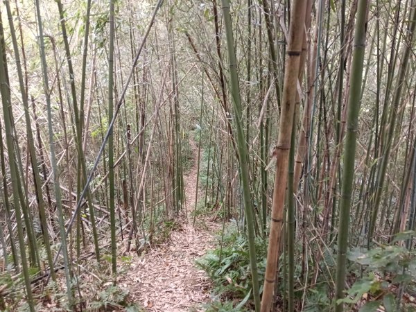 寶山鄉寶山水庫(寶山東峰+中峰+中西峰+西峰+西北峰)+尖山O型3012537