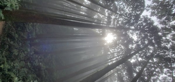 橫沙迪O型縱走_大雪山社區登山口2826550