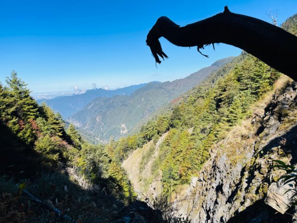 1101211大雪山230林道9.2k/雪山西稜登山口1546693