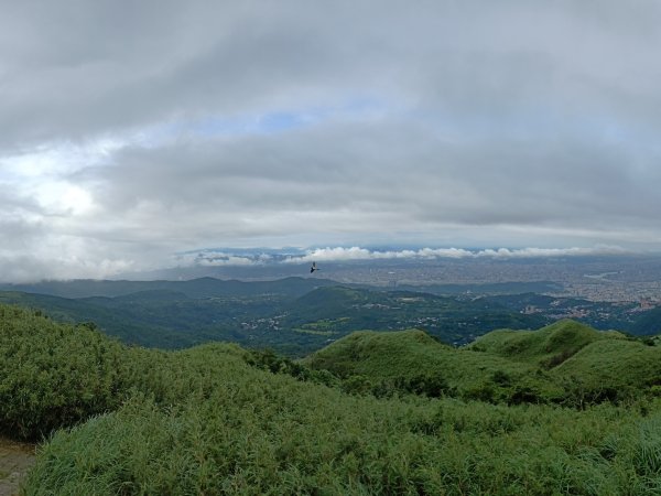 2019-07-02 七星山2792233