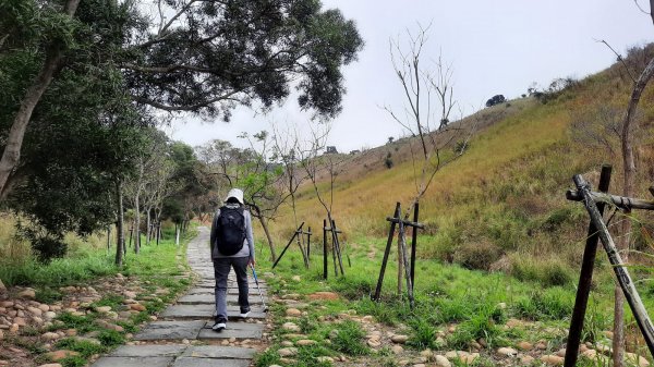 《台中》新春減肥｜龍井竹坑南寮登山步道202202121608722