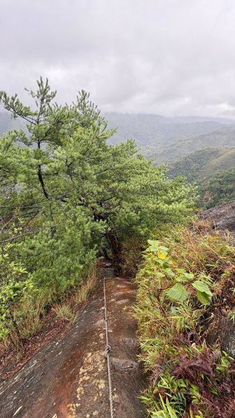 迎新（2026元旦2975610