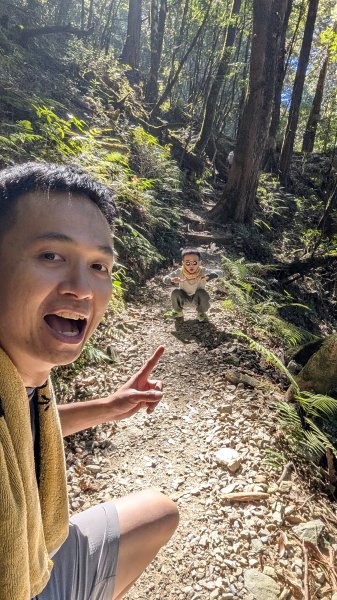 八仙山主峰步道3021286