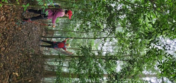 橫沙迪O型縱走_大雪山社區登山口2826545