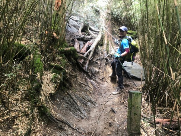 立鷹山.合歡北峰+合歡西峰【全力以赴解鎖979710