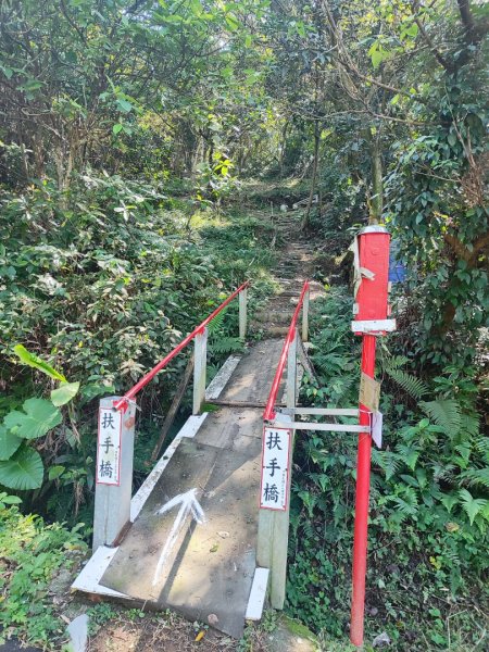 新嶺山步道-大湖頂山-大棟山-鶯歌大榕樹-福源山步道2990667