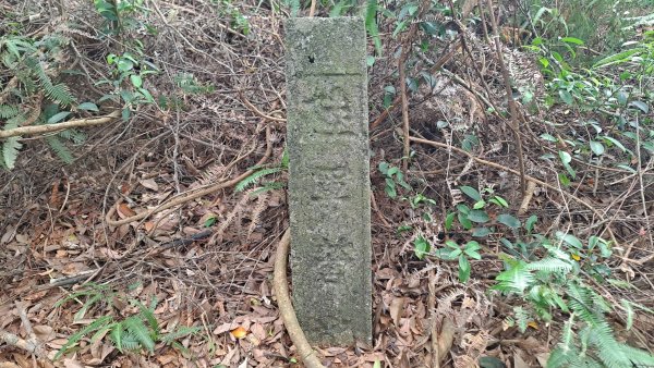 (4/10)蓮華山古道群：飛龍步道，進香步道，採茶古道，載熙古道2247351