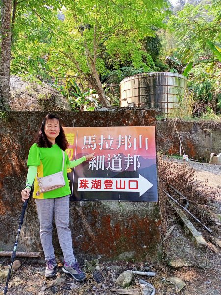 【苗栗-臺灣百大必訪步道】泰雅族抗日的馬那邦山登山步道1347673