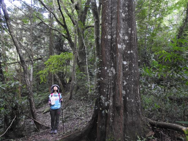 20180609望美山-瓊山(獵人古道)348757