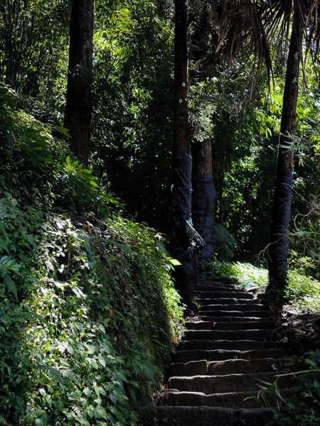 2025-09-14 奮起湖2887411