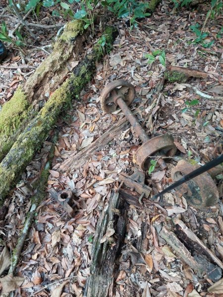 南庄加里山林業遺跡忘雨巖2026052