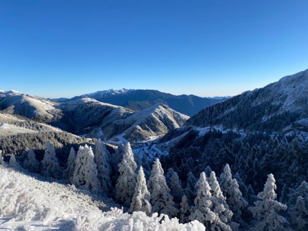 合歡山賞雪一日遊1254364