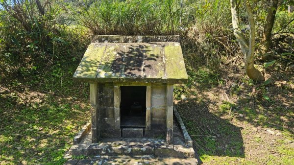 20250322遠望坑古道-龜媽坑古道中線-虎子山古道2743254