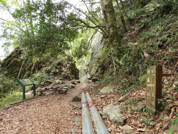 《南投》峽谷瀑布｜東埔八通關古道-雲龍瀑布201704162887744