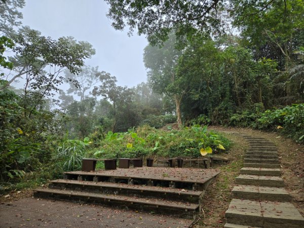 石硦林場（桶頭山）2991254