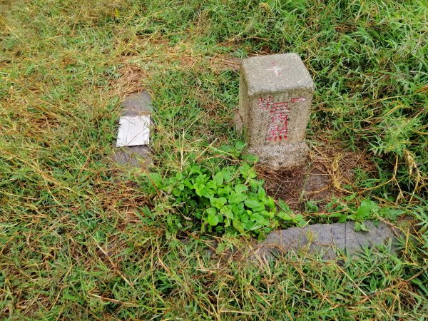 輕鬆好走但我們遇上微雨強風~小百岳鐵砧山918644