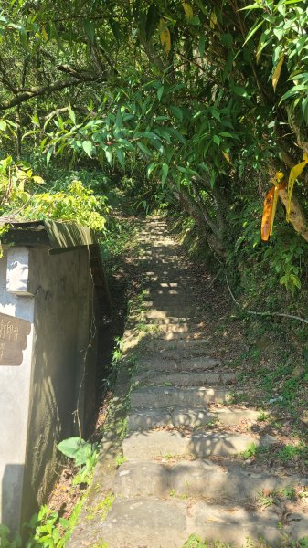 2025-0130溪和宮-大崎頭步道-鵝尾山-平溪步道-鵝尾山水田-42巷-溪山百年古圳-平菁步道2701848