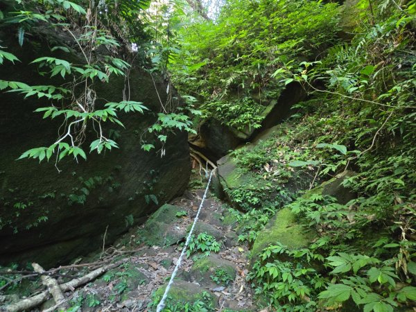 石牛山（小百岳）2909983