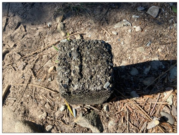 烏尖連峰縱走18基石 ( 唭哩岸山、軍艦岩、丹鳳山 )2980907