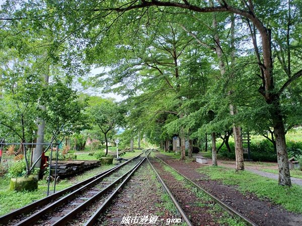 【台中后里】蓊鬱林間。 后里泰安登山步道1728738