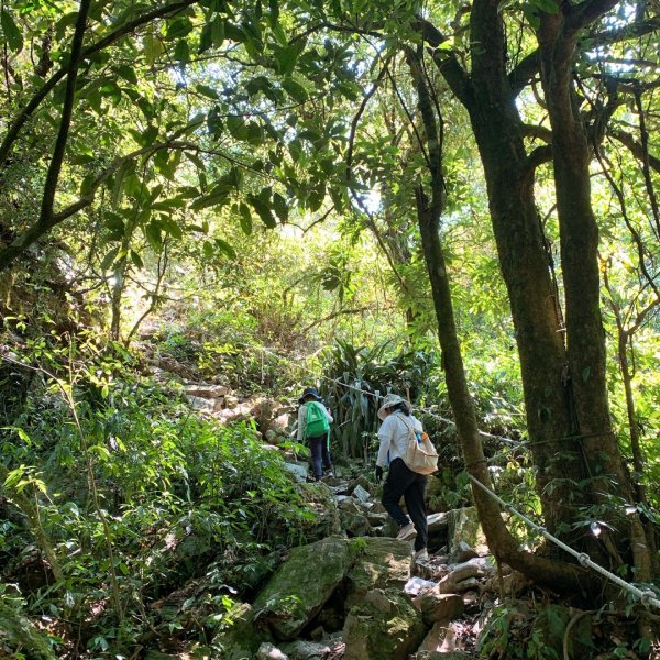 日湯真山在北大武樓下963606