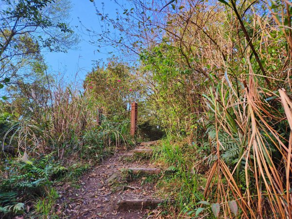 小百岳集起來-獅仔頭山2180878