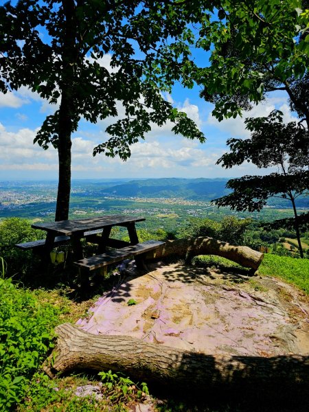 大山背麒麟步道 - 2024森遊竹縣皮皮獅Hike客任務2554894