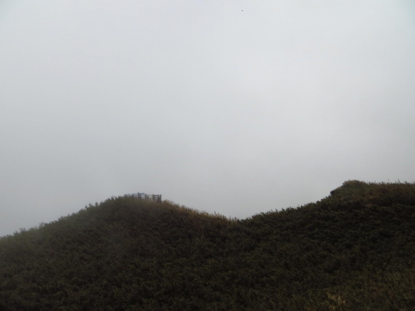 雲霧中遊走七星山之美33508