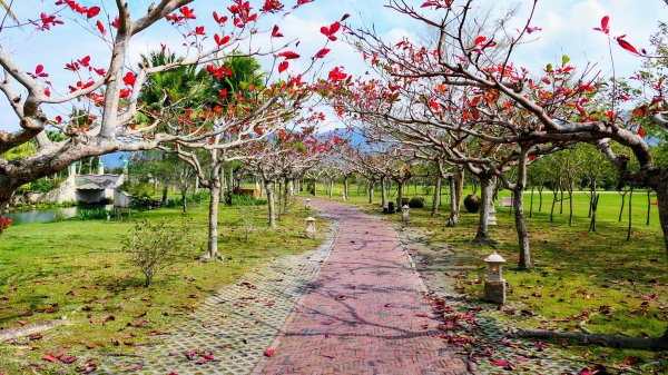豐之谷,理想大地,林田山,立川漁場3007287
