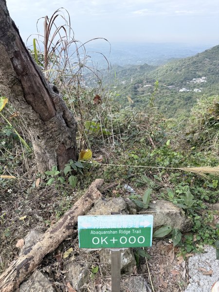 阿拔泉.獨立山悠遊--好友重逢的雲端漫步   2026.01.172985394