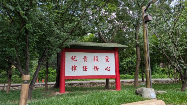 20250629大湳森林公園好所在2823582