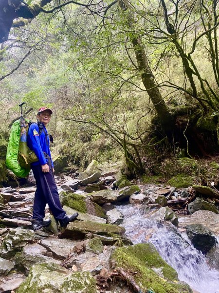 啟動高山度假模式  波光瀲灩嘉明湖2651784