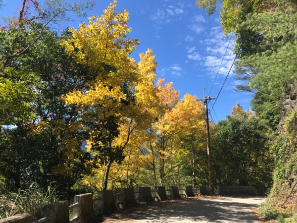 步道巡訪員 l 鎮西堡B區10月巡訪1145004