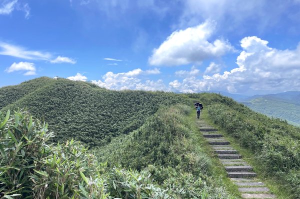 草嶺古道-大溪線-桃源谷-虎字碑-草嶺古道-福隆 202409092591678