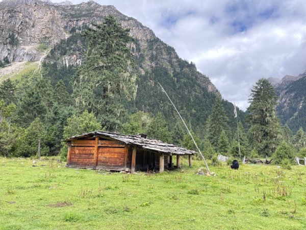 川藏33天深度之旅💙#稻城亞丁-來古冰川2902353