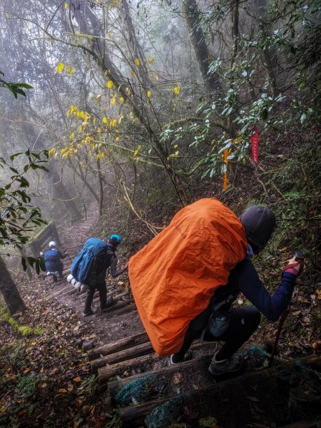 【新竹五峰尖石】霞喀羅國家步道、石鹿大山1227485