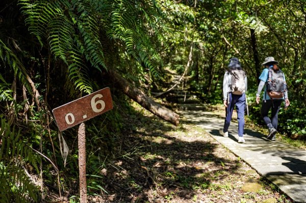五分山｜小百岳2915428