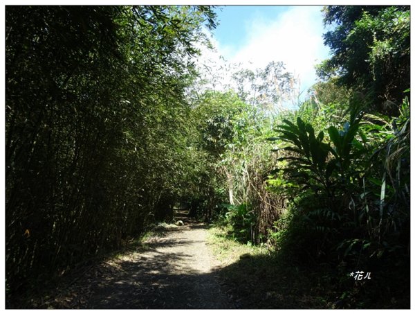 馬那邦山(小百岳)/上湖登山口2427081