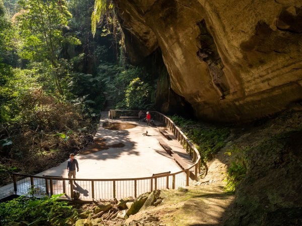 三民蝙輻洞2802493