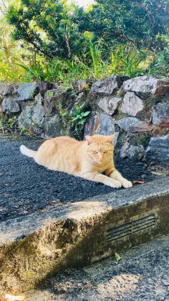無耳茶壺山步道