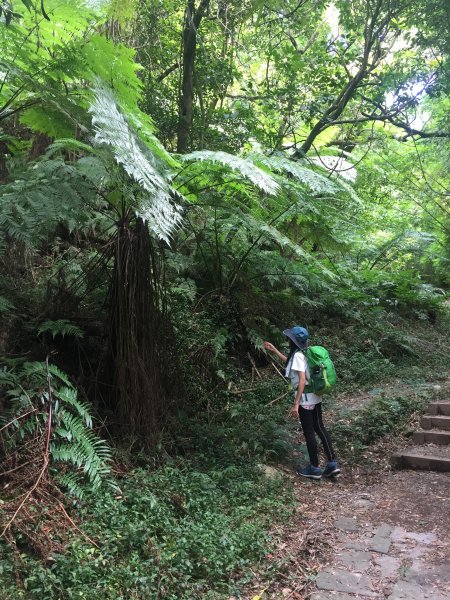 [台北]七星山主東：苗圃->冷水坑457952