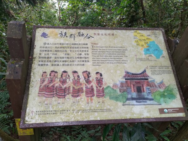 【新竹縣北埔鄉】五指山步道2833631