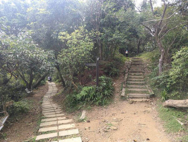2026.01.25－微笑山線：【天上山系】烘爐地土地公段2994618