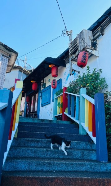 無耳茶壺山步道2878421