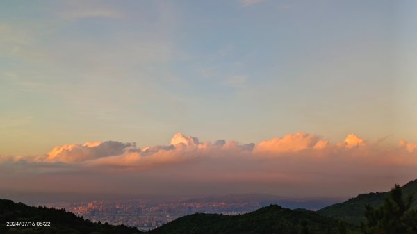 雲山水花鳥蝶 - 天龍國阿伯的日常7/162551880