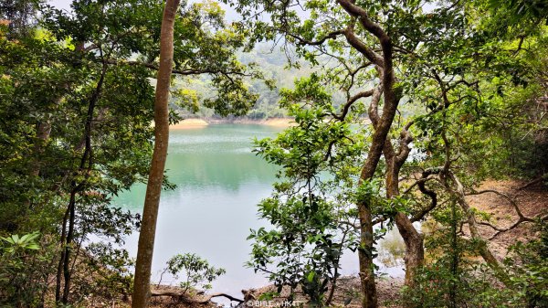 【海外健行】香港四徑 The Four Trails3031674